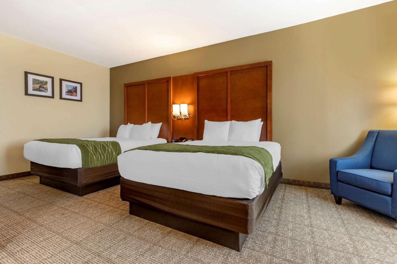 Comfort Inn&Suites Orangeburg Exterior foto